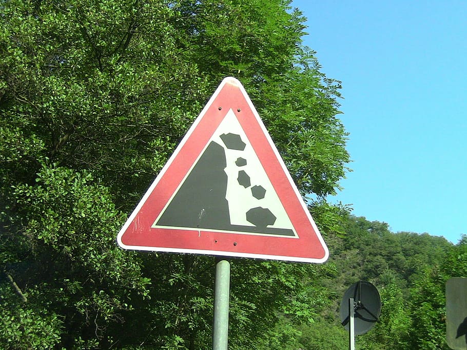 road, sign, danger, avalanche, warning, falling, information, travel, plant, tree