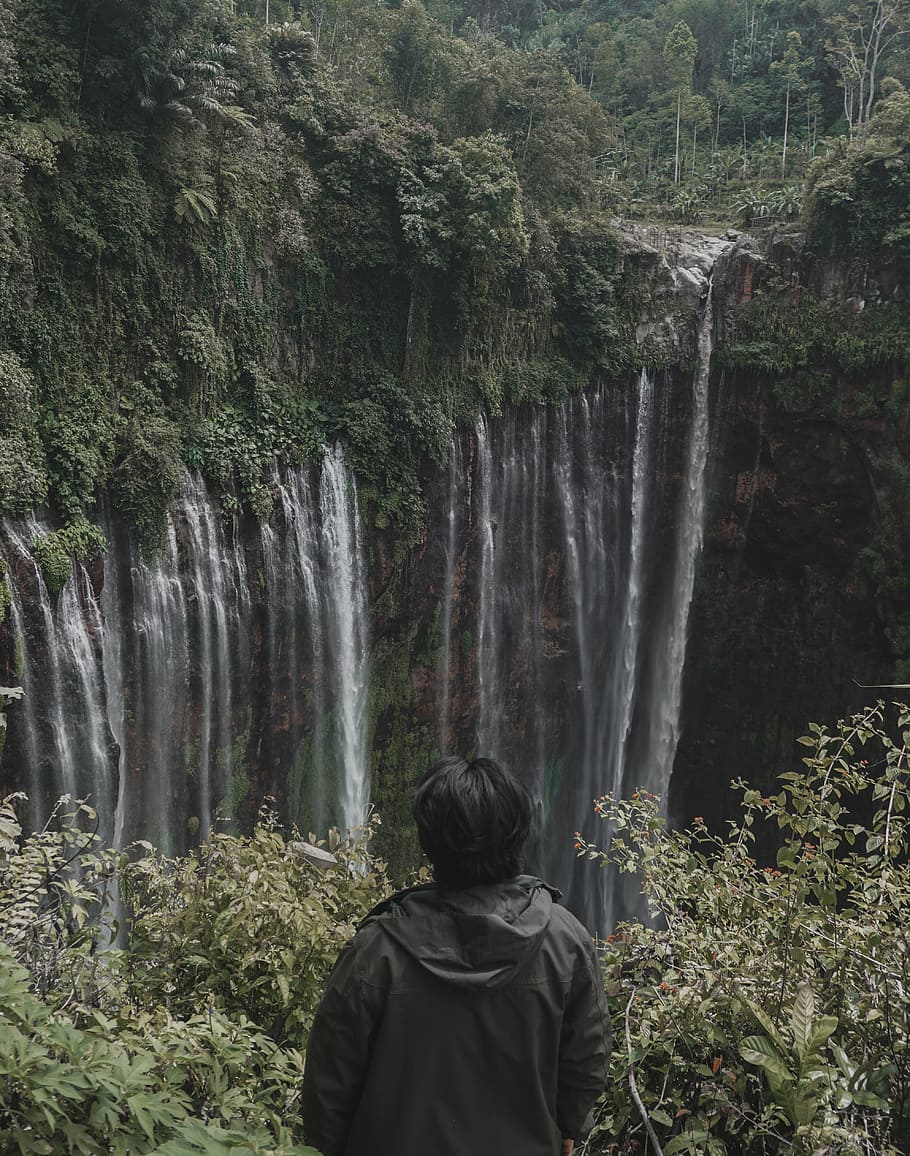 滝, 霧, インドネシア, 風景-自然, 水, 自然の美しさ, 植物, 木, 長時間露光, 流れる水