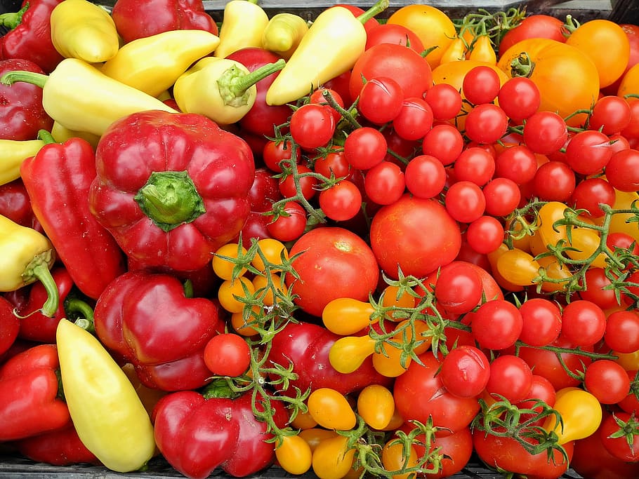 tomates, pimiento, vegetales, rojo, amarillo, fresco, alimentos, vegetales saludables y orgánicos, bienestar, alimentación saludable