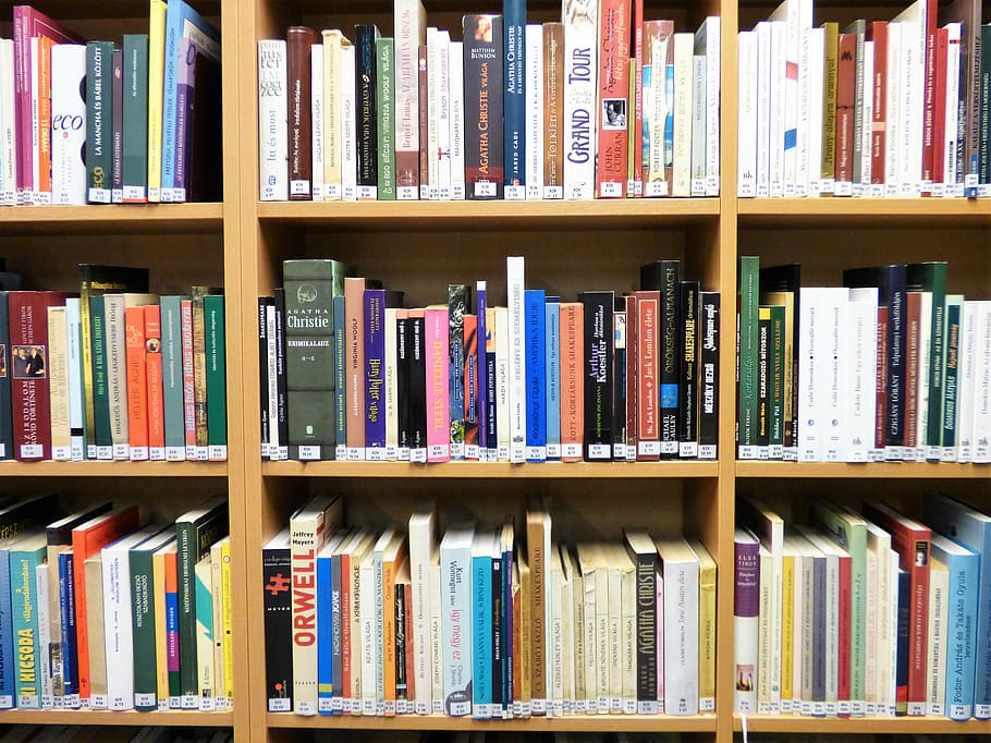 libros, marrón, madera, estante, estantería, biblioteca, catálogo, color, cultura, libro
