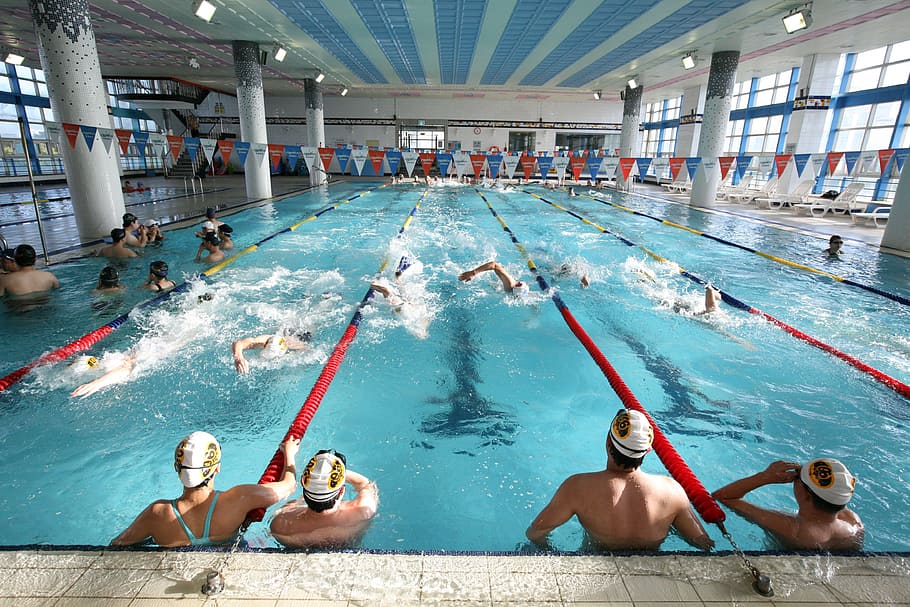 Berenang, Kolam Renang, Kolam Renang Dalam Ruangan, Latihan, kolam, pendidikan jasmani, olahraga pagi, air, istirahat, kegerahan