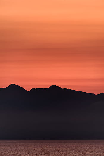 silhouette photography, cactus, sun rise, arizona, landscape, scenic ...