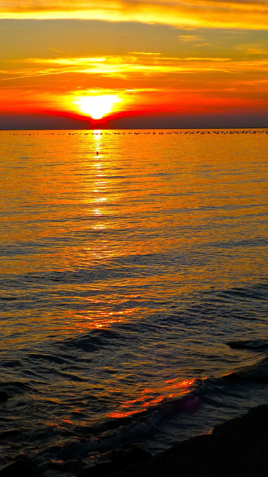 夕日 海 空 Abendstimmung オレンジ色 自然の美しさ 風景 自然 夕焼け 水 Pxfuel