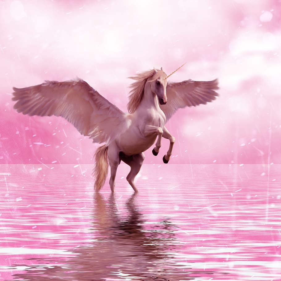 fantasi, Desain, sihir, dongeng, unicorn, kuda, berwarna merah muda, air, hewan, mistik