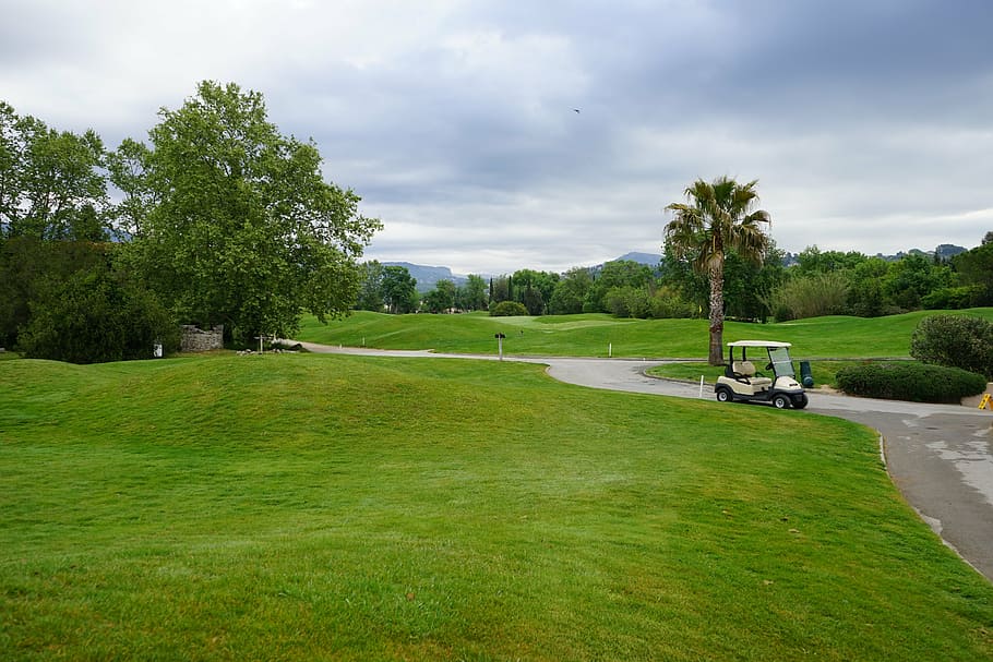 golf, cart, landscape, plant, grass, tree, green color, golf course, sky, green - golf course