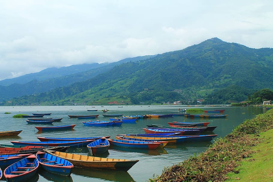 brown-and-blue row boat lot, body, water, day time, Pokhara, Nepal, Boats, Colorful, colorful boats, nepali