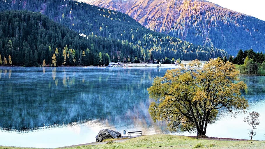 morning, haze, davos, lake, the beauty of the mountains, autumn, hiking trails, the alps, peace of mind, colors