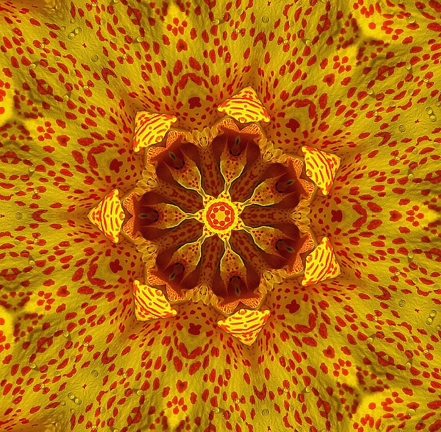 Kaleidoscope, Picture, Transformation, texture, form, yellow, brown, addition, mounting, centrally