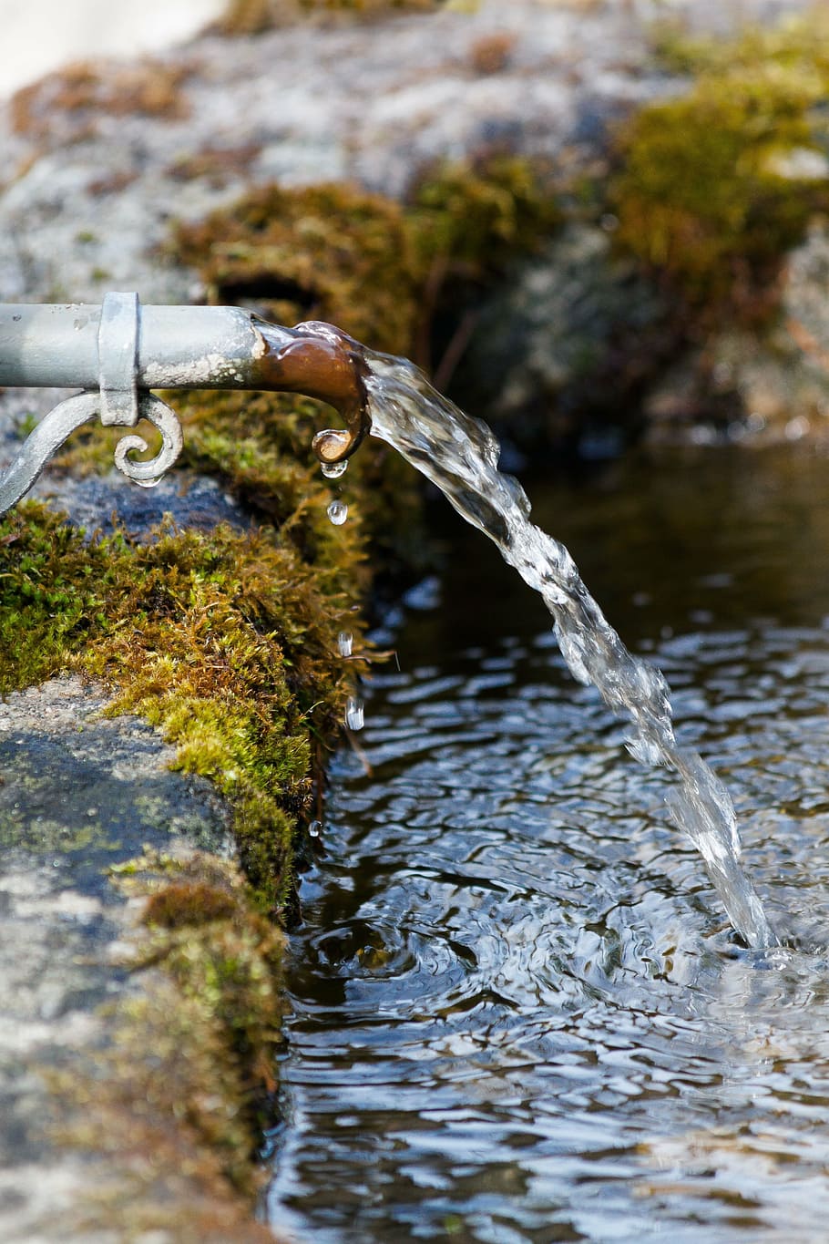 close-up photography, water flows, gray, metal pipe, fountain, stone trough, moss, bemoost, stainless, potions