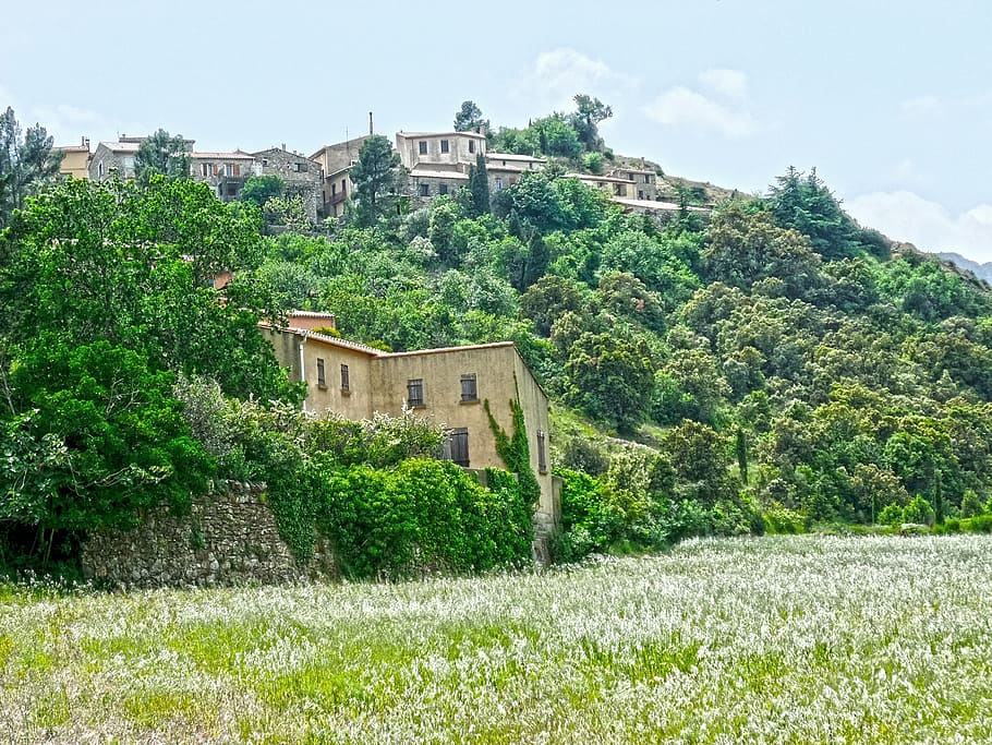 Cucugnan, Francia, departamento de Aude, Languedoc Rosellón, ladera de la montaña, verde, pueblo, planta, arquitectura, exterior del edificio