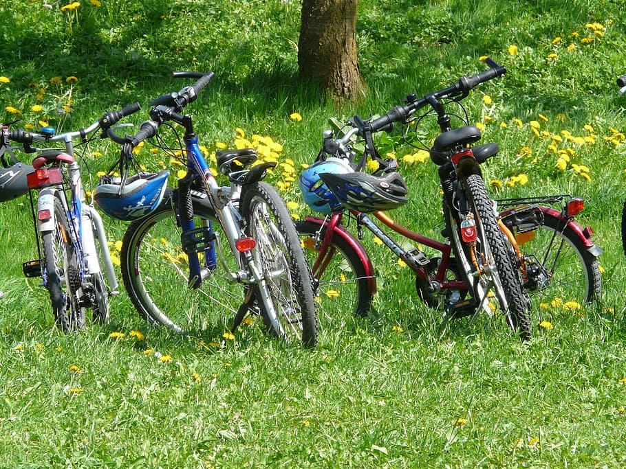four, hard-tail mountain bikes, parked, grass land, daytime, hard-tail, mountain bikes, bicycles, bike, family outing