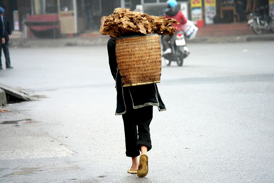 person, carrying, wicker basket, log, walking, road, vietnam, sapa, poor, asia