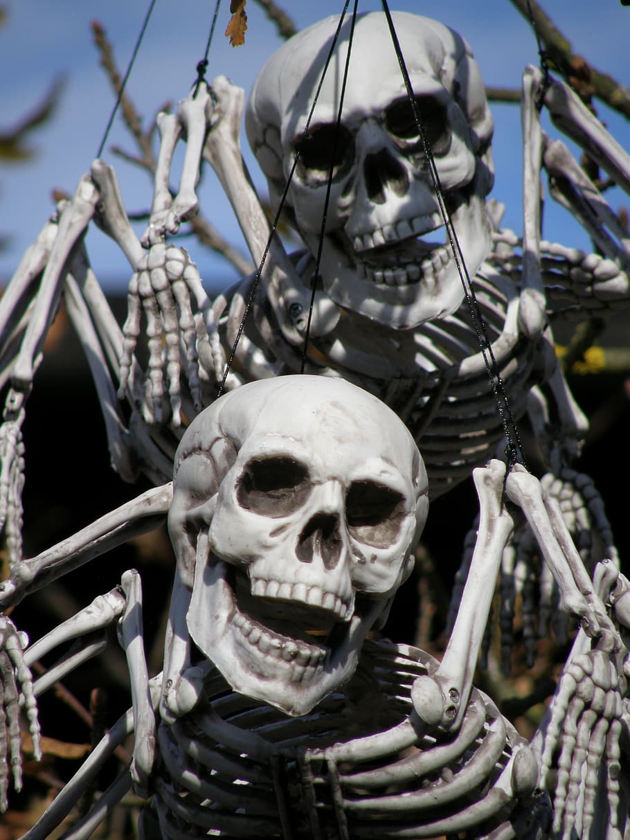 halloween, legoland, skeletons, skull and crossbones, decoration, customs, human skeleton, bone, skeleton, human bone