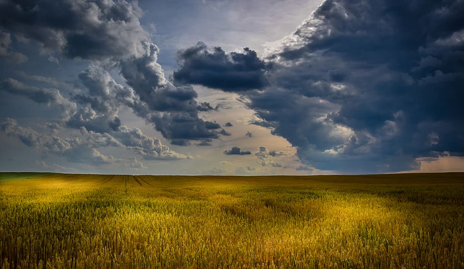 agricultura, granja, campo, horizonte, azul, cielo, nubes, nube - cielo, escena tranquila, paisajes - naturaleza
