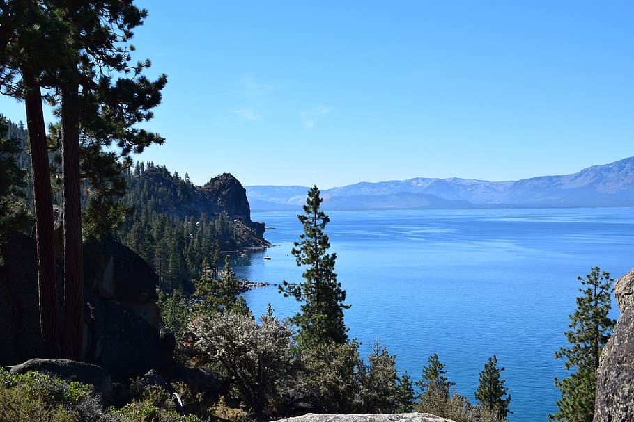 Lake Tahoe, paisagem, azul, verde, céu, lago, árvores, califórnia, árvore, plantar
