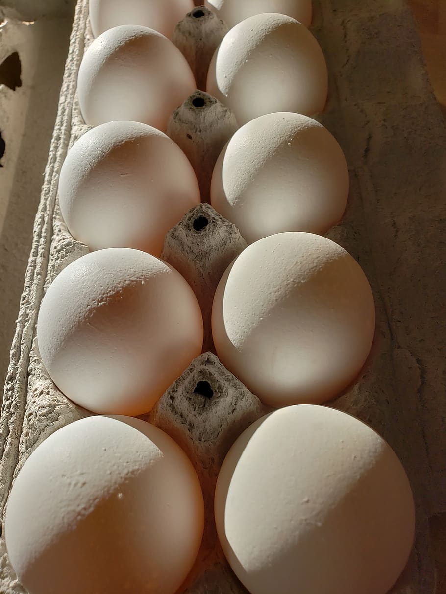 eggs, dozen, food, carton, egg, raw, breakfast, protein, eggshell, ingredient
