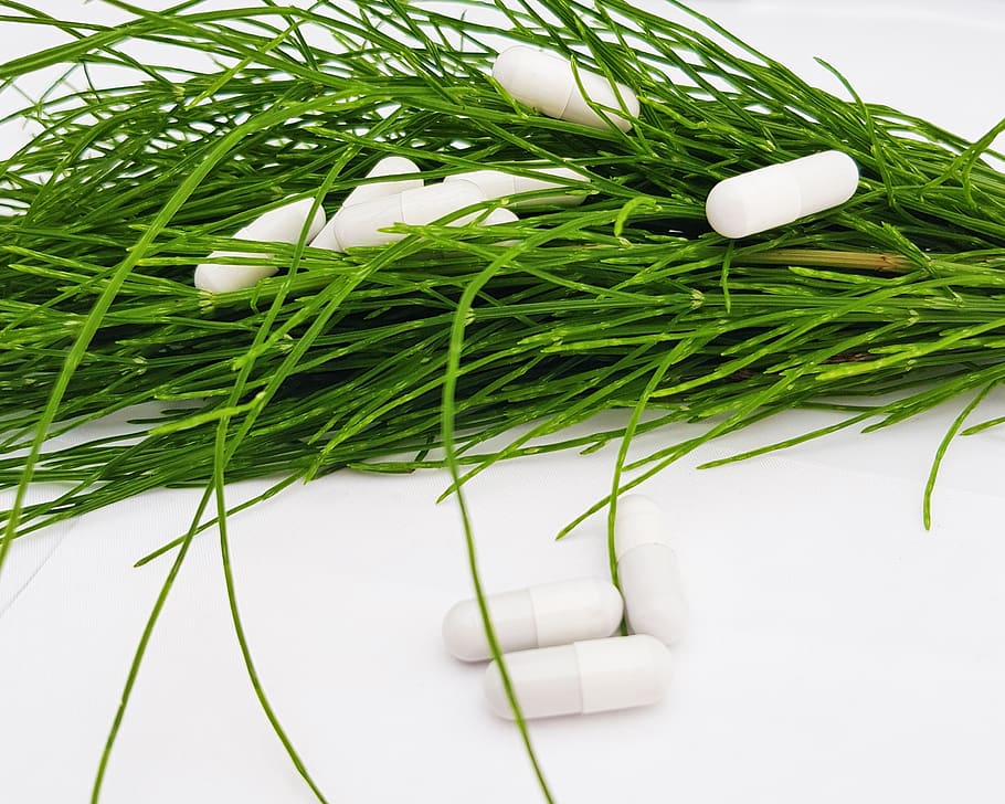 horsetail, equisetum arvense, medicinal plant, forest plant, encapsulate, dietary supplements, composites, nature, green, health