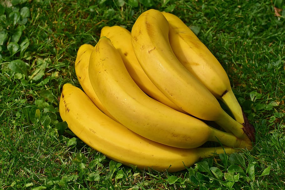 bananas, fruits, fruit, healthy, yellow, banana peel, ripe, nature, frisch, close
