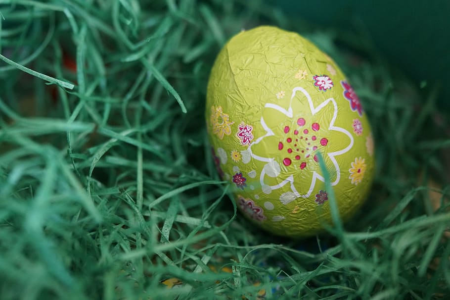 sallow, focus photography, green, floral, easter egg, egg, easter nest, child, children, spring