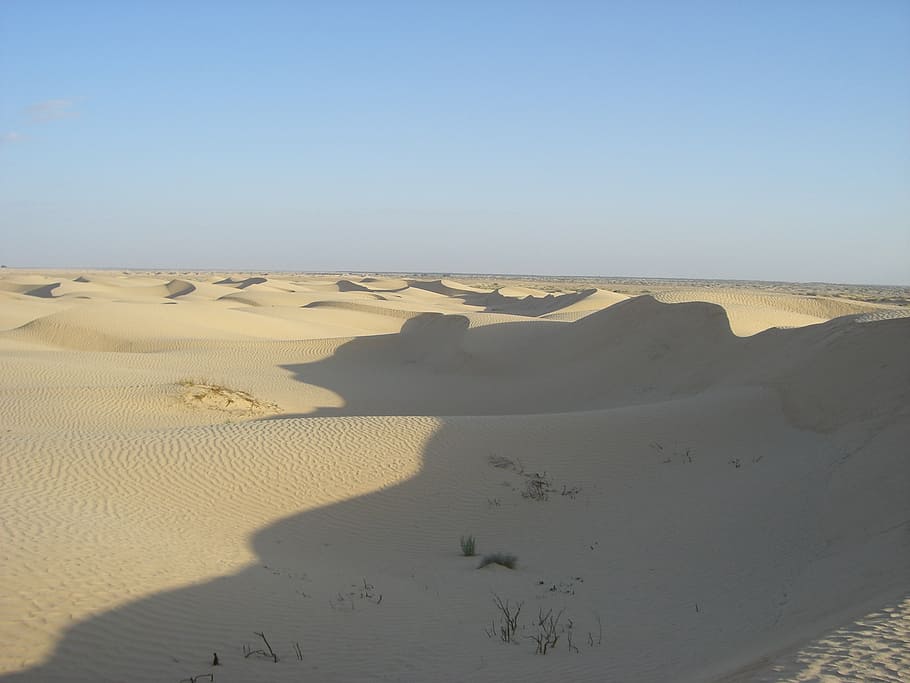 duna, tunísia, deserto, areia, areia duna, seca, natureza, paisagem, áfrica, saara deserto