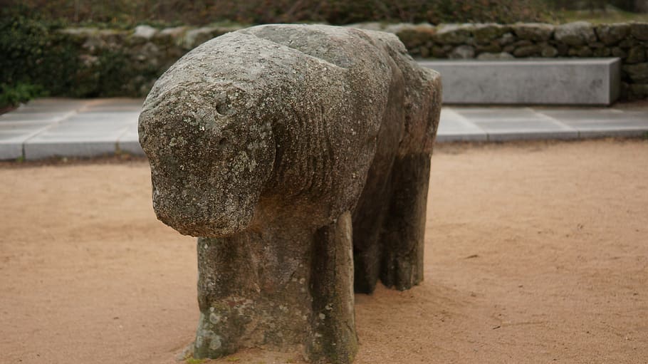 bulls, guisando, avila, sculpture, boar, vetones, age, iron, day, outdoors