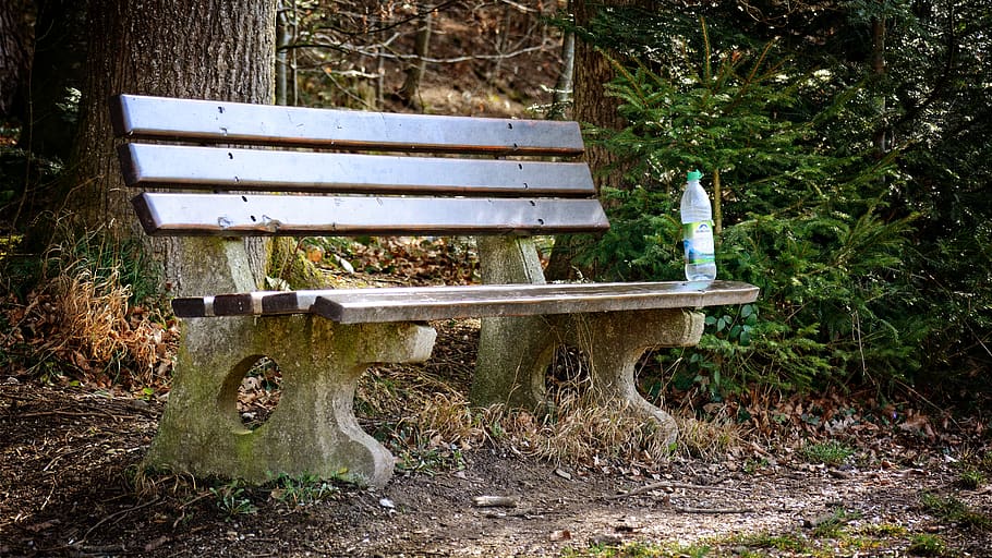 bench, bank, seat, nature, rest, forest, resting place, plant, day, tree