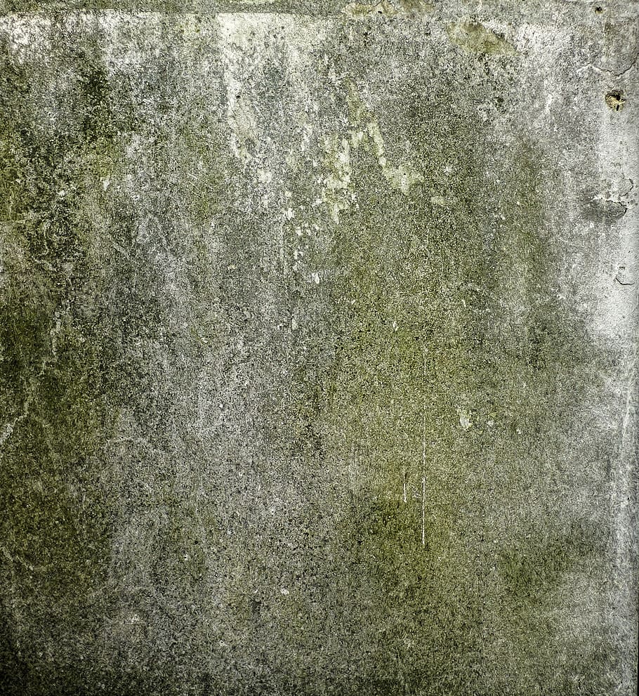mold, wall, green, mushroom, stone, textured, backgrounds, full frame, close-up, old
