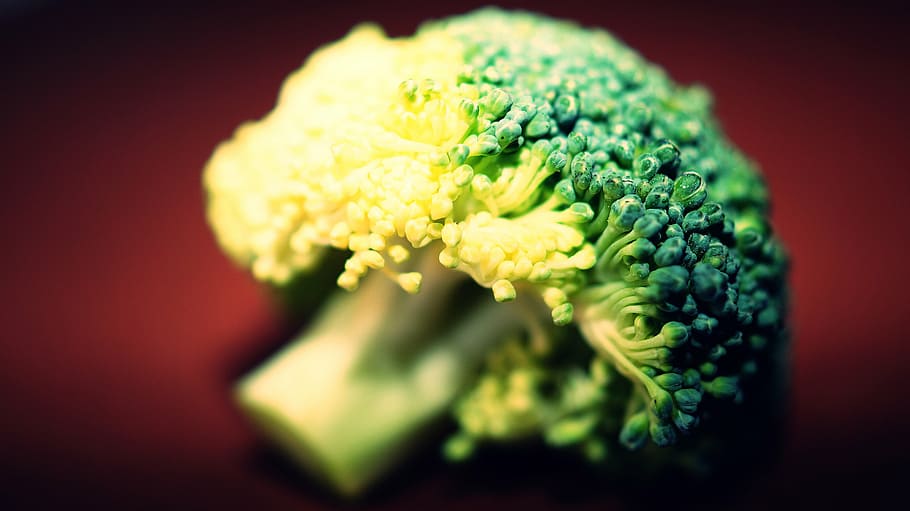brócolis verde, comida, fotografia, brócolis, cru, fresco, vegetação, verde, cozinhar, receita