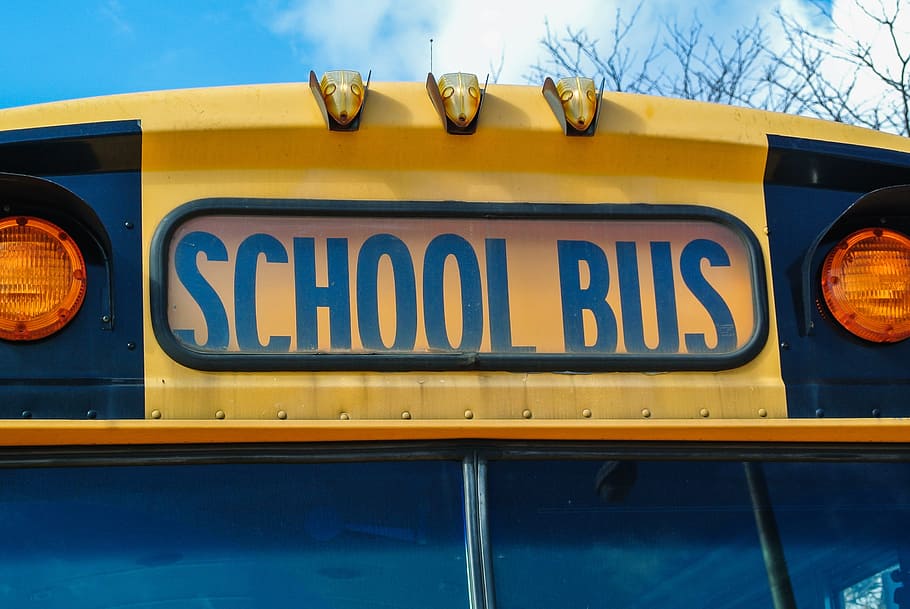 버스, 미국, 학교, 색상, 차량, 집단, 상태, 운송, 디자인, 노랑