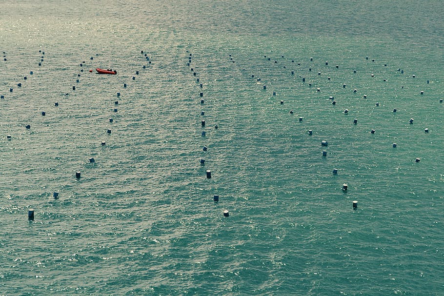 photography, orange, boat, body, water, black, buoys, ocean, sea, wave