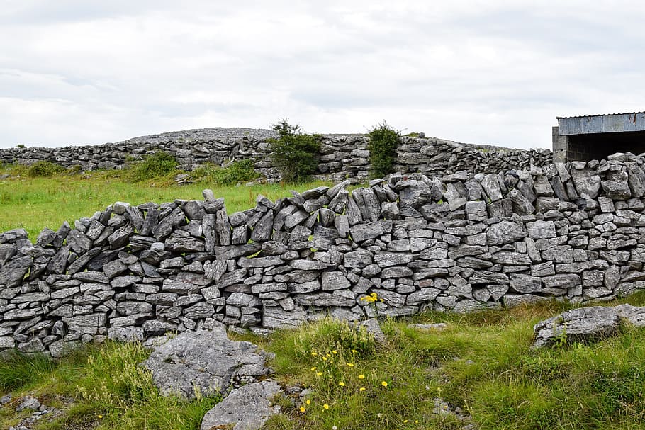stone wall, wall, hage, ireland, sky, solid, rock, rock - object, cloud - sky, plant
