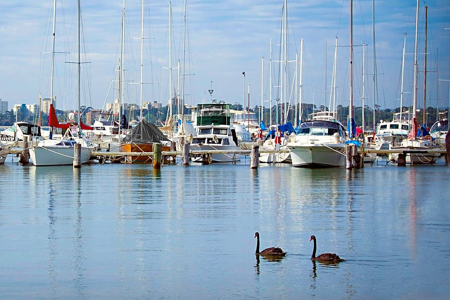 matilda bay wa right, boats, blue, reflections, water, river, vacation, shore, scene, calm