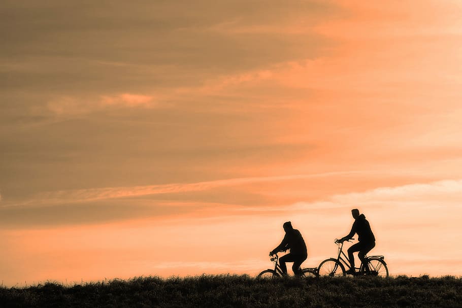 two, silhouette, man, riding, bicycle, golden, hour time, cyclist, person, people