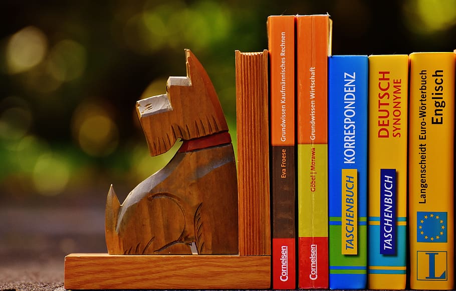 shallow, focus photography, brown, wooden, dog bookends, bookends, dog, books, read, library