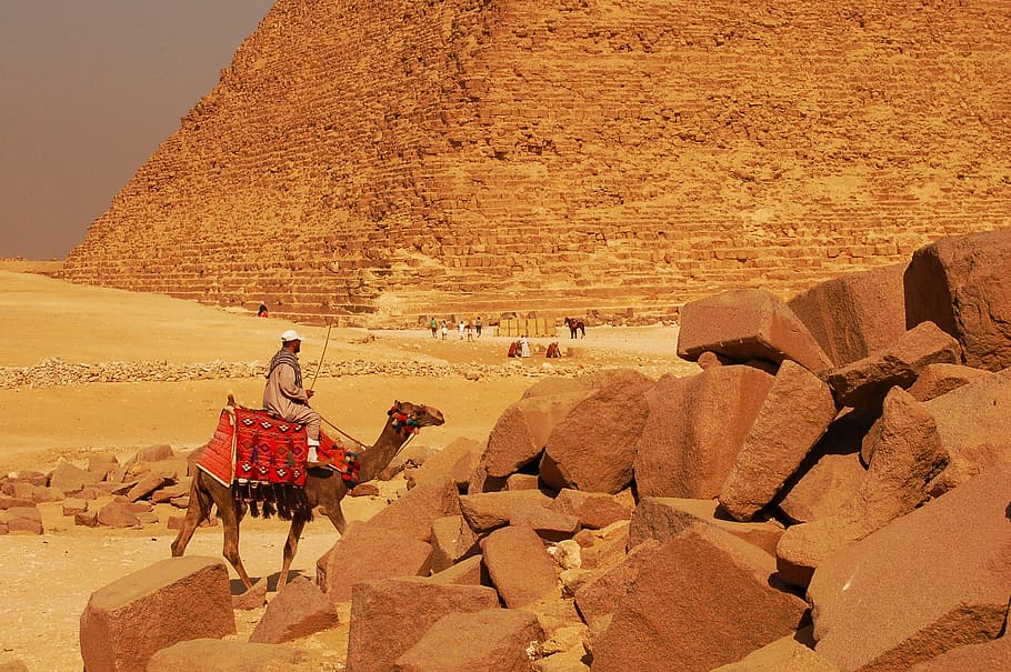 man, riding, camel, daytime, Egypt, Pyramid, Giza, Desert, Cairo, travel