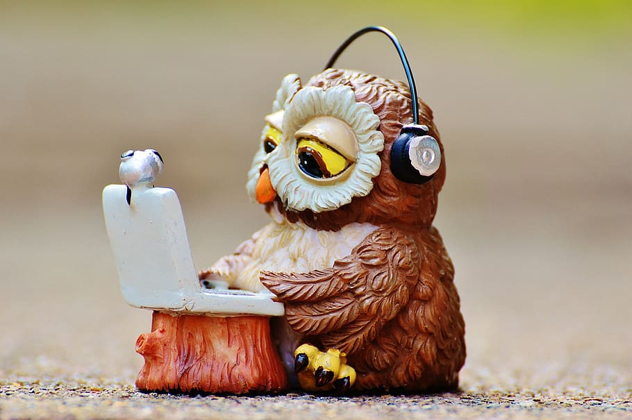 closeup, photography, brown, owl, wearing, headphones, using, laptop figurine, computer, funny