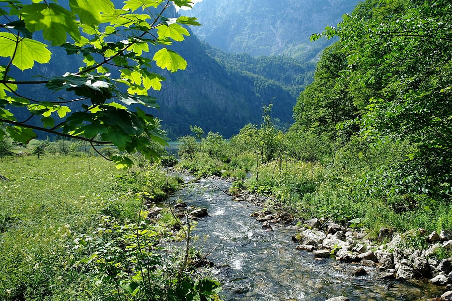 königssee, berchtesgaden, bavaria, salet, sunshine, water, romance, mountains, romantic, green