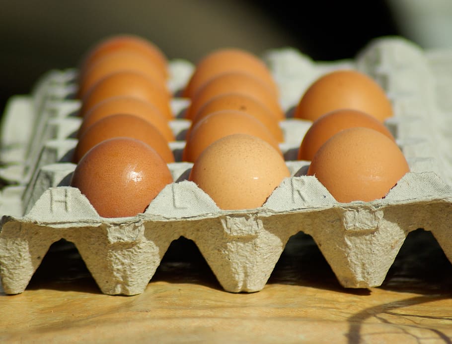 brown, eggs, tray, hens, kitchen, egg carton, egg, food, food and drink, freshness