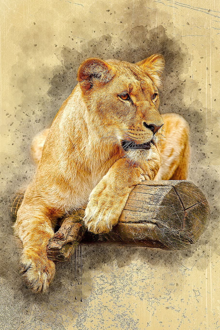 illustration, brown, lioness, lying, log, africa, animal, big, carnivore, cat