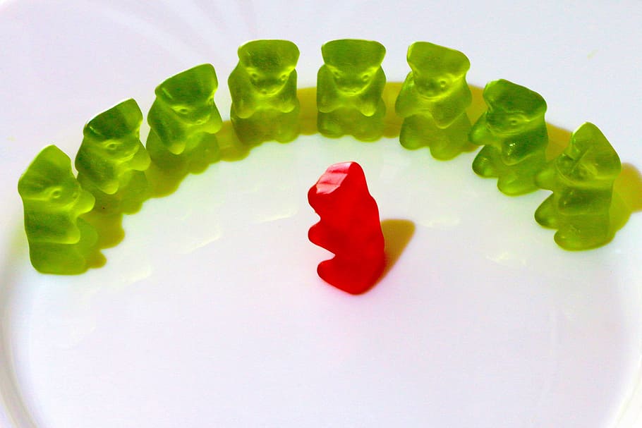 red, green, gummy, bear, lot, in a semicircle, gummi bears, fruit jelly, listen to, instructions