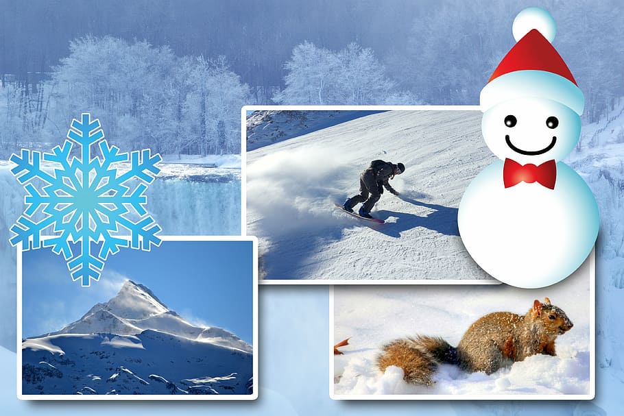 inverno, época do ano, decoração, floco de neve, corte, pressão, acabamento, natal, horário de natal, horário de inverno