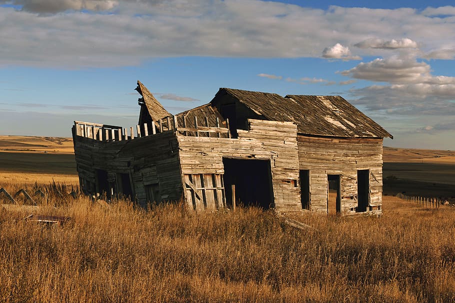 Old, Alberta, wooden, abandoned, house, surrounded, grass, sky, built structure, field