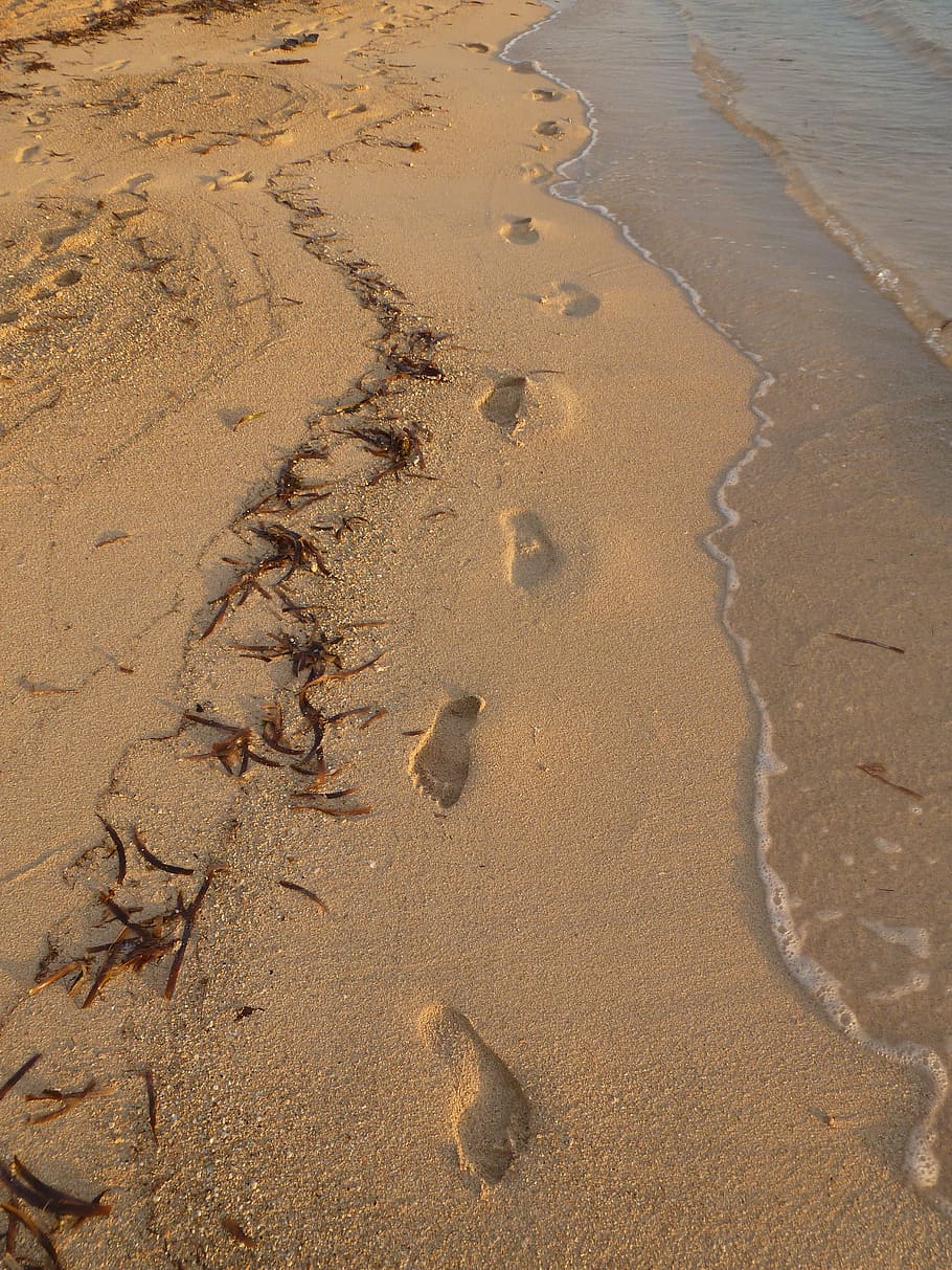 footprints, beach, sea, ocean, sand, barefoot, shore, footstep, walking, seashore