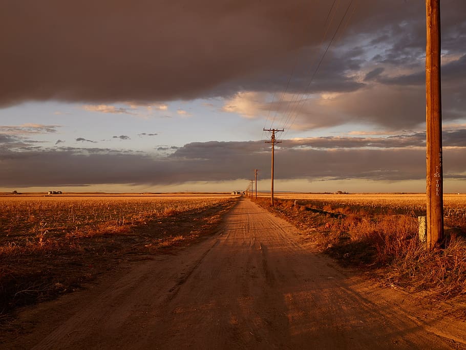 road between fields, colorado, sunset, twilight, dusk, evening, landscape, silhouettes, trees, nature