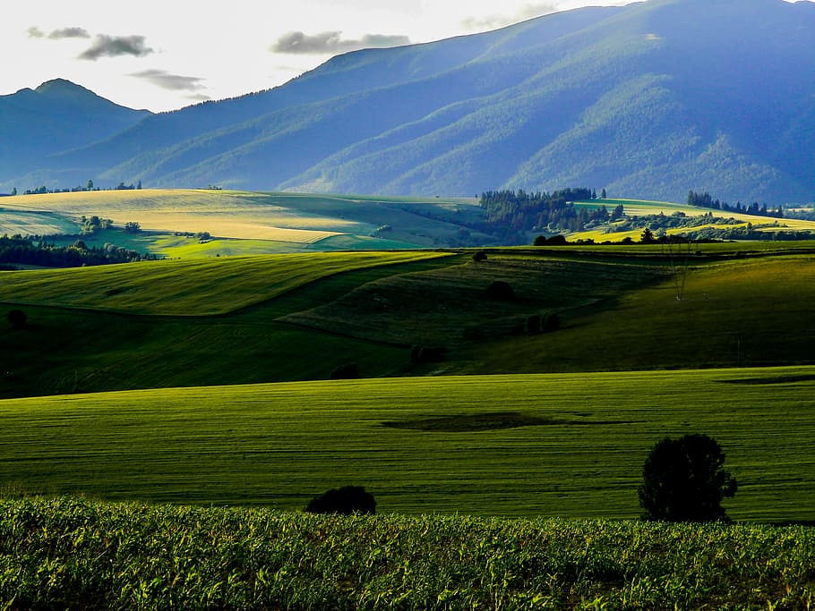 digital, wallpaper, green, fields, liptov, field, mountain, sun, sunset, slovakia