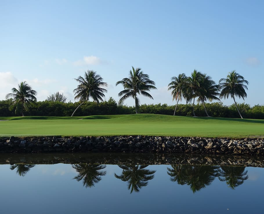 grand cayman islands, vacation, sun, water, green, blue, reflection, palm trees, grass, peaceful