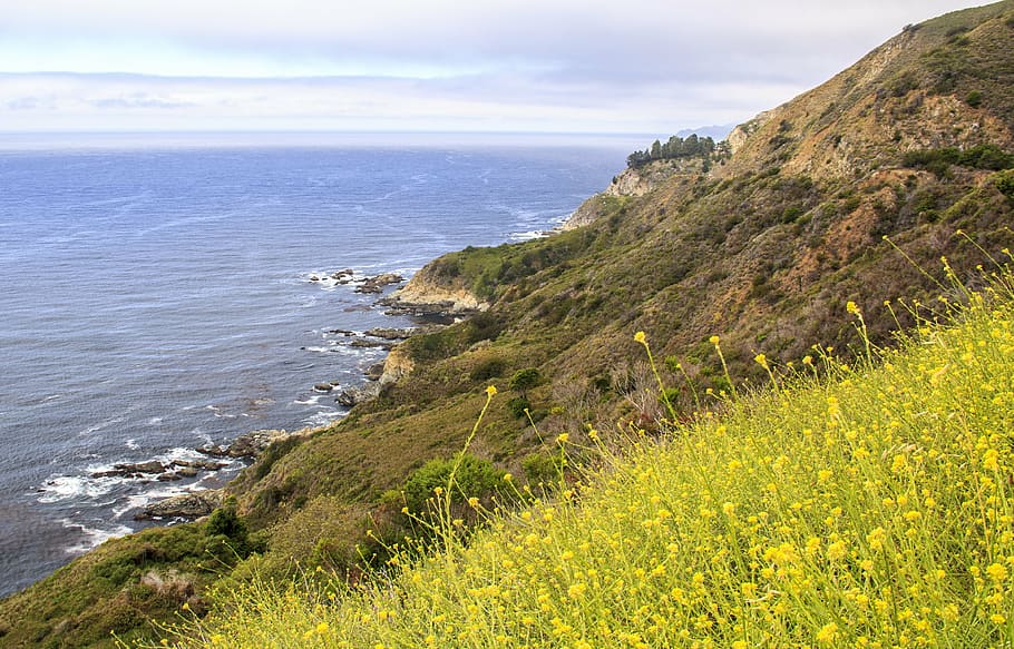 california, costa, big sur, pacífico, mar, naturaleza, estados unidos, paisaje, américa, escénico
