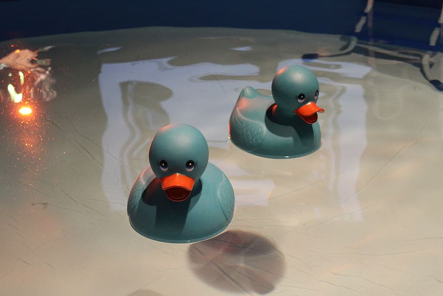 ducky, rubber, bath, toy, cute, play, child, reflection, representation, high angle view