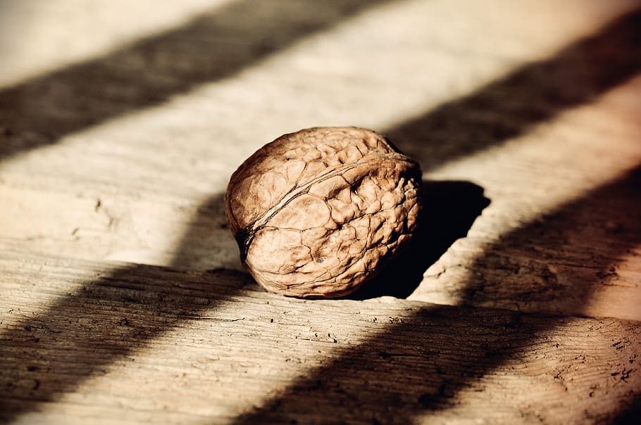 nut, walnut, healthy, fruit bowl, wood floor, light and shadow, sunlight, retro look, close-up, food and drink