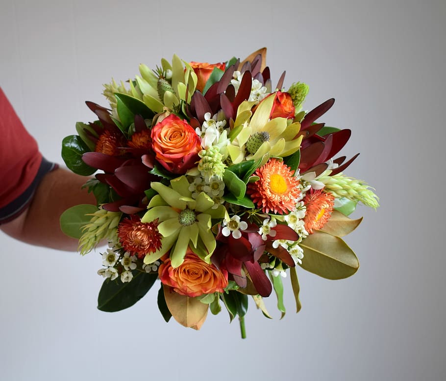 Bouquet, Flowers, Roses, Florist, flower, red, rose - Flower, people, gift, human Hand